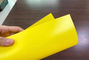 Polypropylene (PP) Sheet (2)