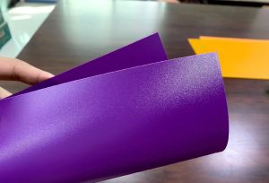 Polypropylene (PP) Sheet (3)